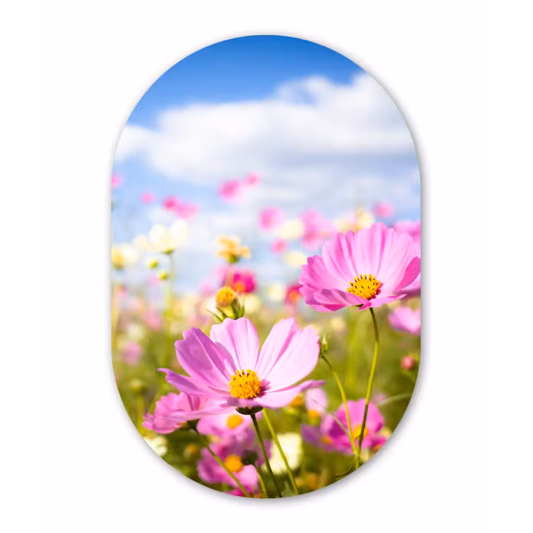 Bloemen - Wei - Paars - Gras - Wit - Wolken - Blauw Wandcirkel Ovaal Forex klein -3d