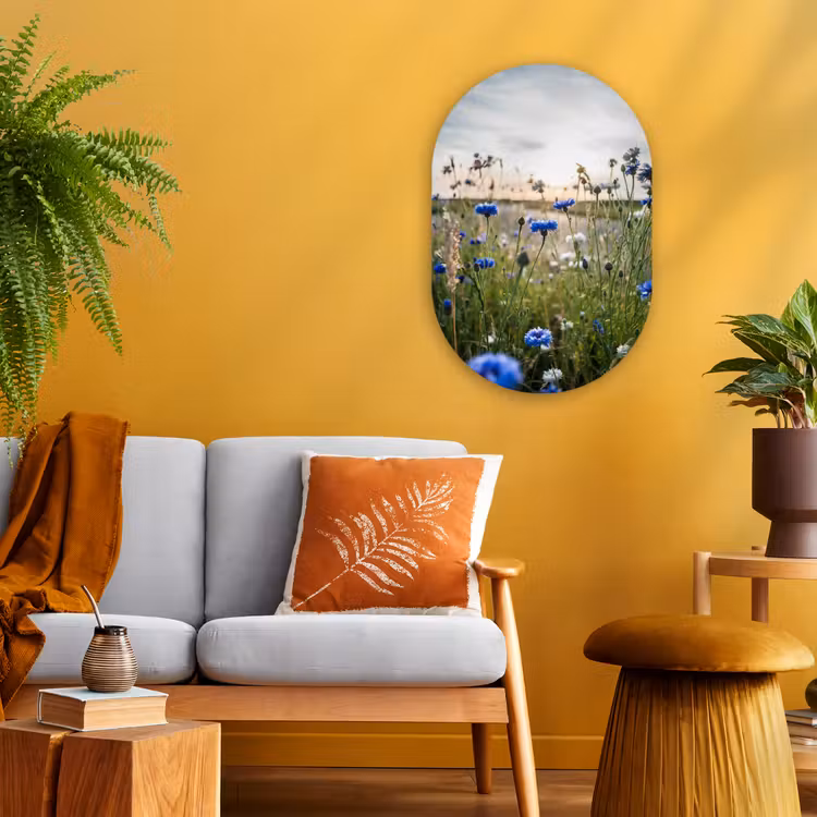Bloemen - Zomer - Korenbloem - Blauw - Zon - Wolken Wandcirkel Ovaal Forex klein -sfeer4