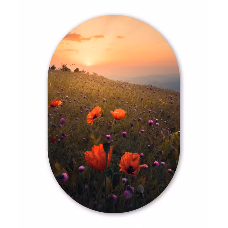 Bloemenveld - Gras - Bloemen - Planten - Zonsondergang - Oranje Wandcirkel Ovaal Forex klein -3d
