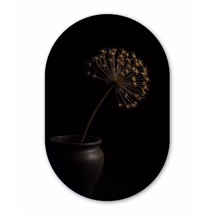 Bol - Gedroogd - Vaas - Zwart Wandcirkel Ovaal Forex klein -3d