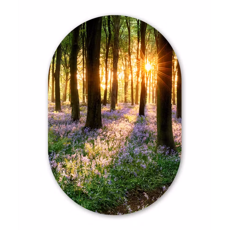 Bos - Bloemen - Lavendel - Zon - Paars - Natuur Wandcirkel Ovaal Forex klein -3d