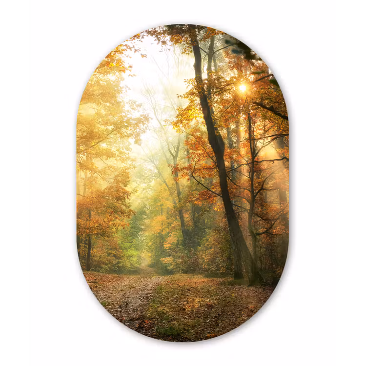 Bos - Herfst - Zon - Landschap - Natuur - Bomen - Bladeren Wandcirkel Ovaal Forex klein -3d