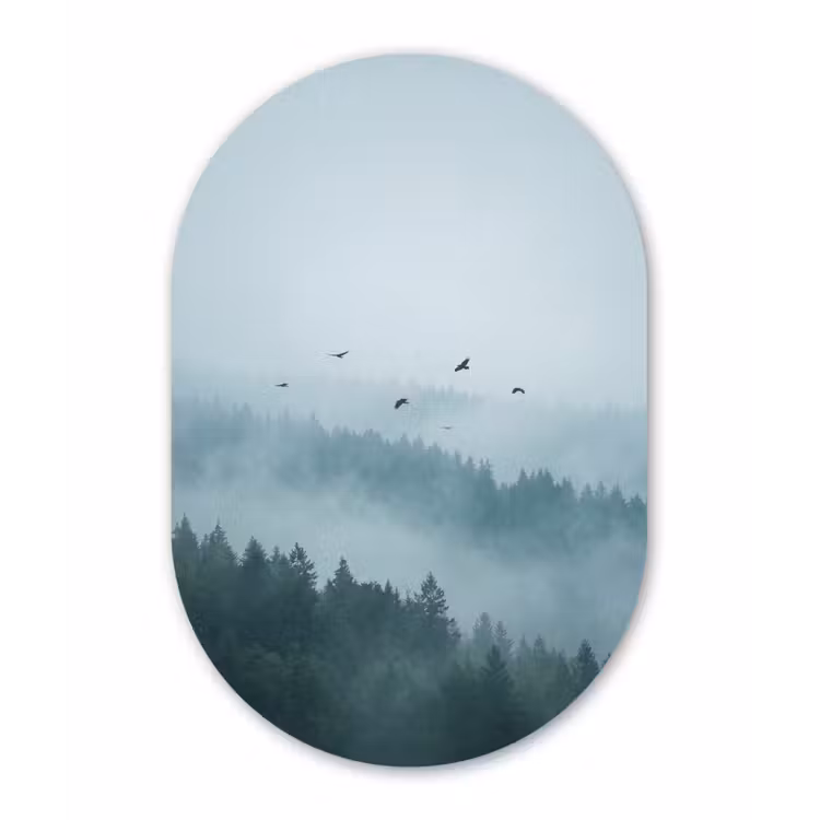 Bos - Mist - Vogels - Natuur - Groen Wandcirkel Ovaal Forex klein -3d
