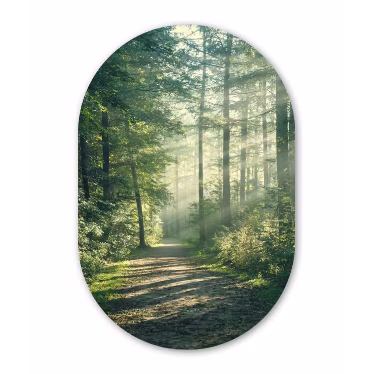 Bos - Pad - Zon - Bomen - Groen - Natuur Wandcirkel Ovaal Forex klein -3d