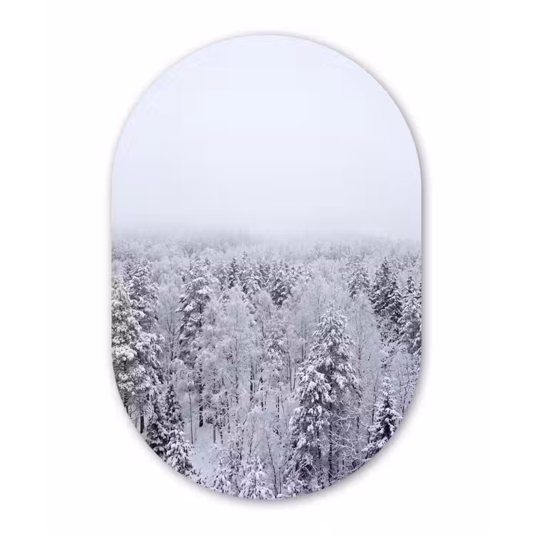 Bos - Sneeuw - Winter - Natuur - Wit Wandcirkel Ovaal Forex klein -3d