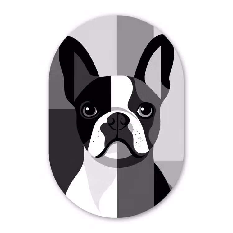 Buldog - Zwart - Abstract - Vlakken Wandcirkel Ovaal Forex klein -3d