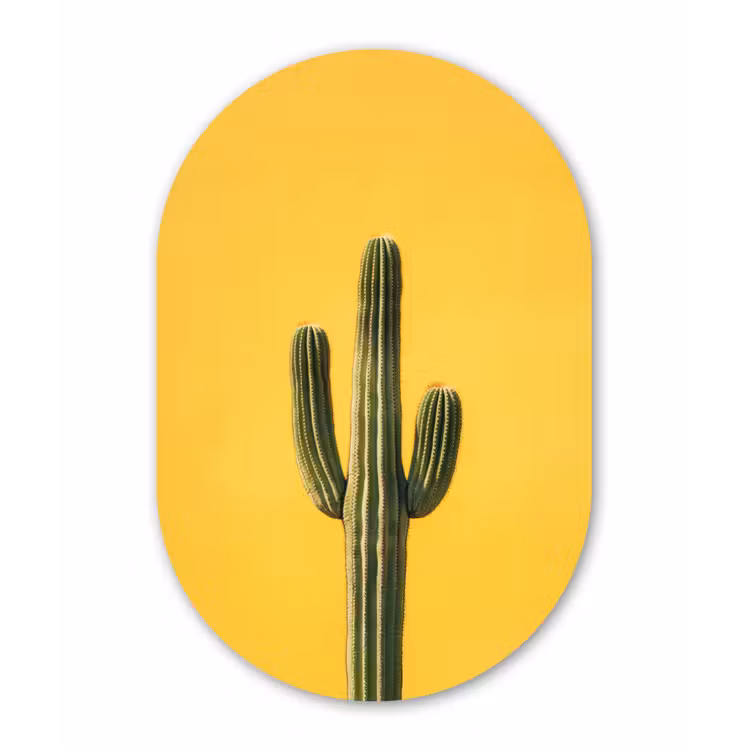 Cactus - Groen - Minimalistisch Wandcirkel Ovaal Forex klein -3d