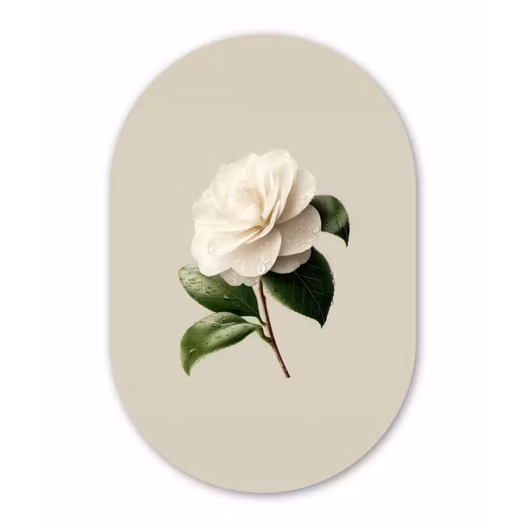 Cameliabloem - Wit - Groen Wandcirkel Ovaal Forex klein -3d