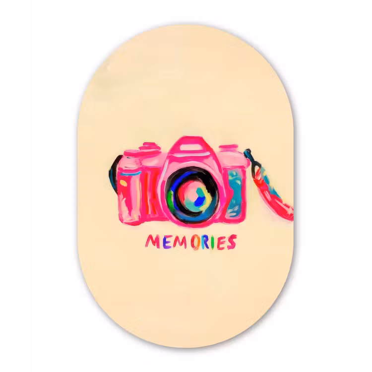 Camera - Memories - Roze - Geschilderd Wandcirkel Ovaal Forex klein -3d