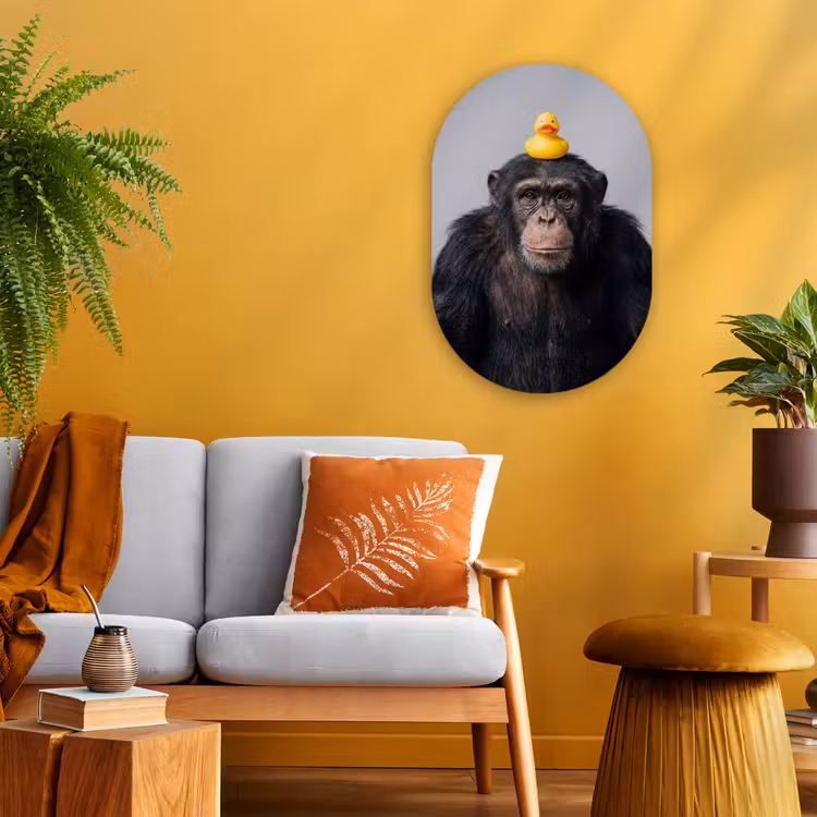 Chimpansee - Badeend - Grijs Wandcirkel Ovaal Forex klein -sfeer4
