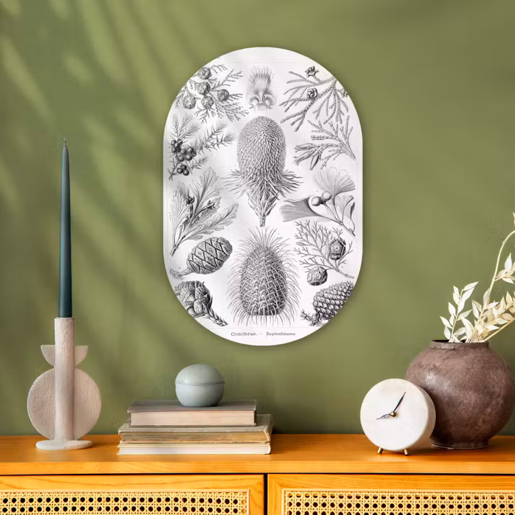 Coniferen - Ernst Haeckel - Kunst - Retro Wandcirkel Ovaal Forex klein -sfeer2