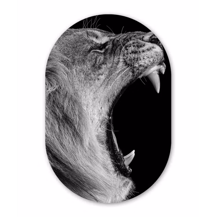 Dieren - Leeuw - Zwart - Wit - Portret Wandcirkel Ovaal Forex klein -3d