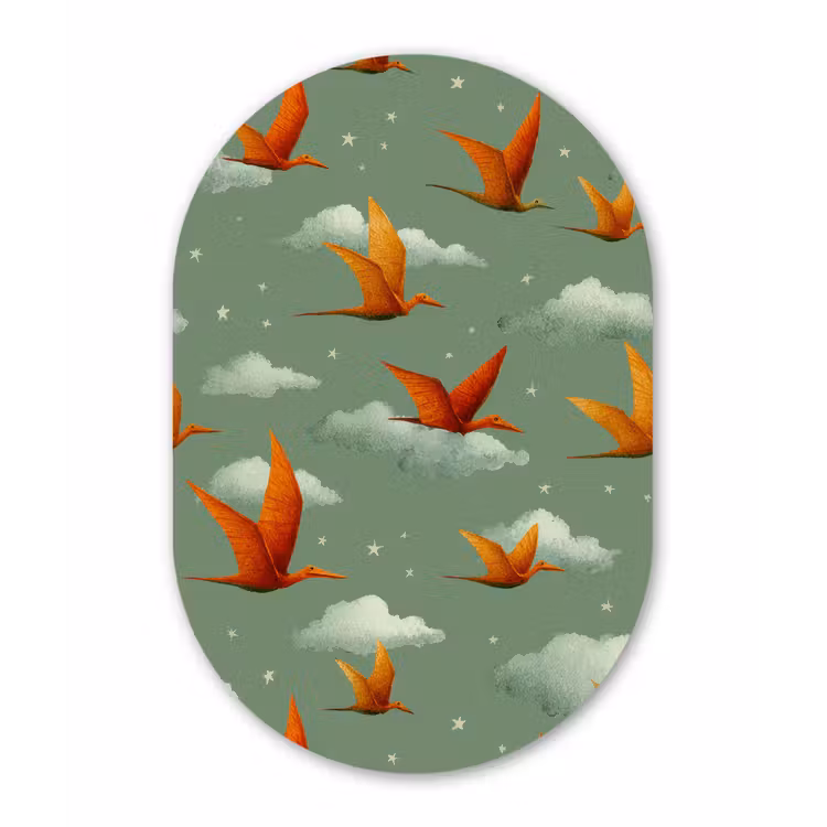 Dinosaurussen - Wolken - Sterren - Oranje Wandcirkel Ovaal Forex klein -3d