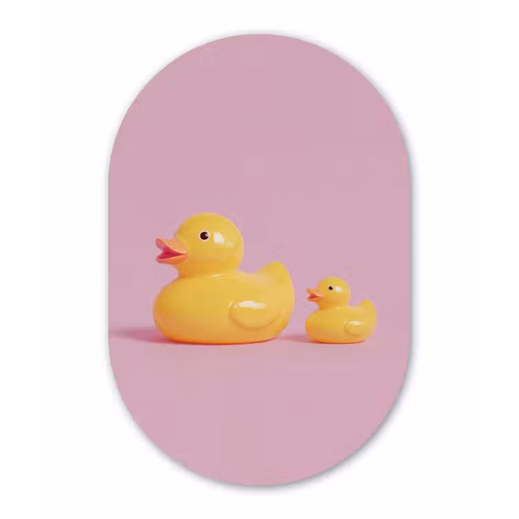 Eendjes - Vrolijk - Roze Wandcirkel Ovaal Forex klein -3d