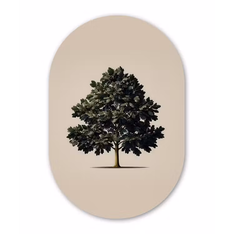 Eikenboom - Schaduw - Egaal Wandcirkel Ovaal Forex klein -3d