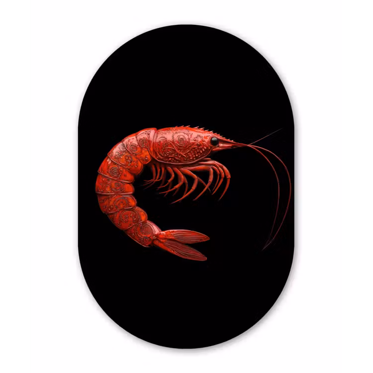 Garnaal - Rood - Dieren Wandcirkel Ovaal Forex klein -3d