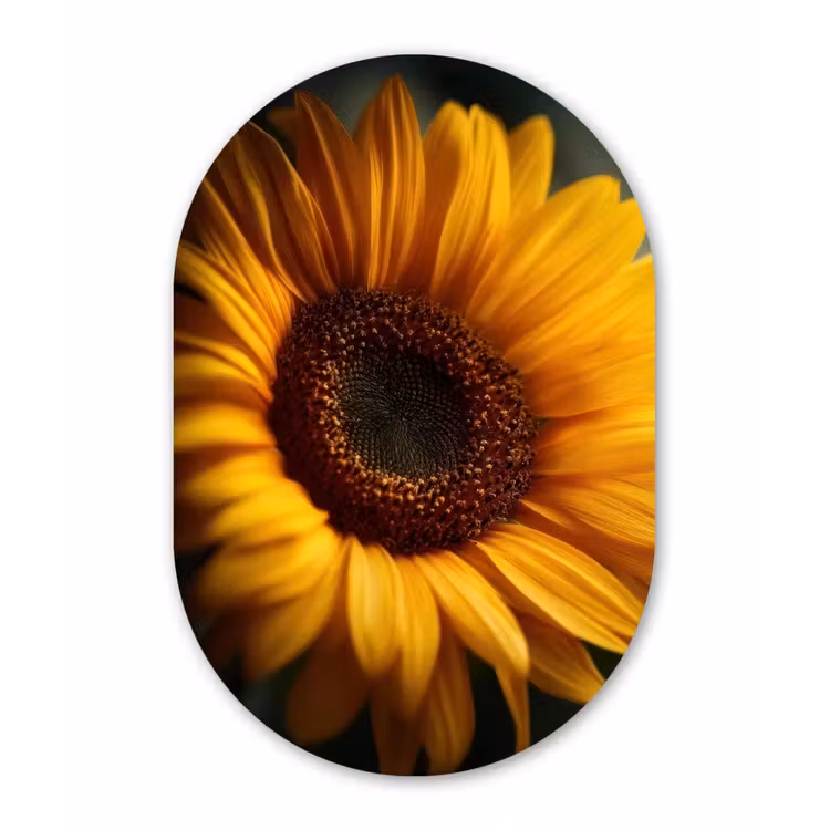 Geel - Zonnebloem - Zomers Wandcirkel Ovaal Forex klein -3d
