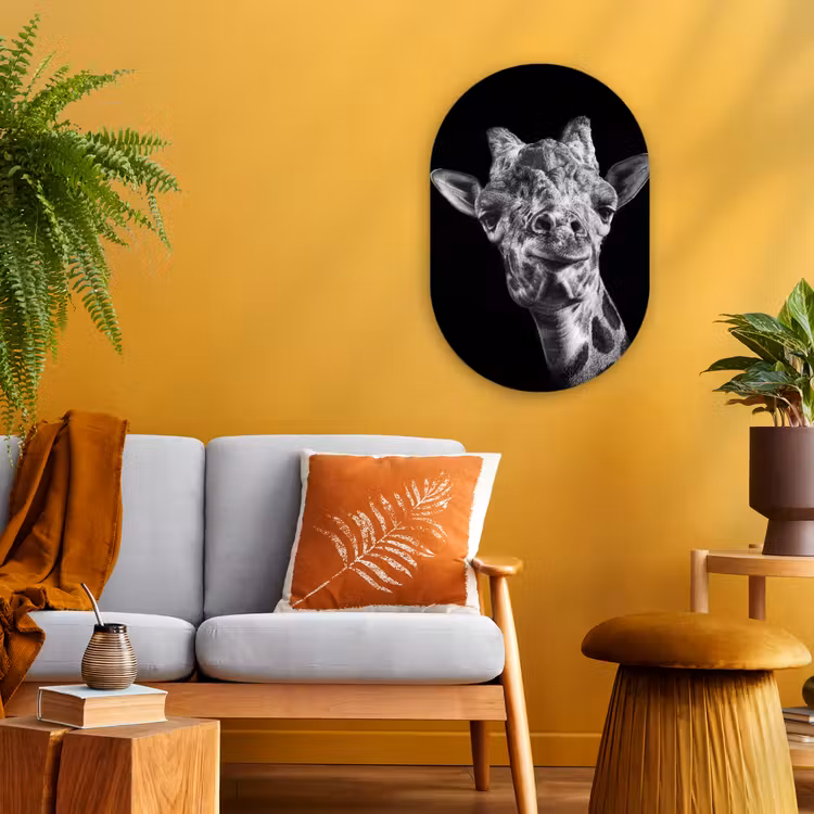 Giraffe - Dier - Zwart - Wit Wandcirkel Ovaal Forex klein -sfeer4