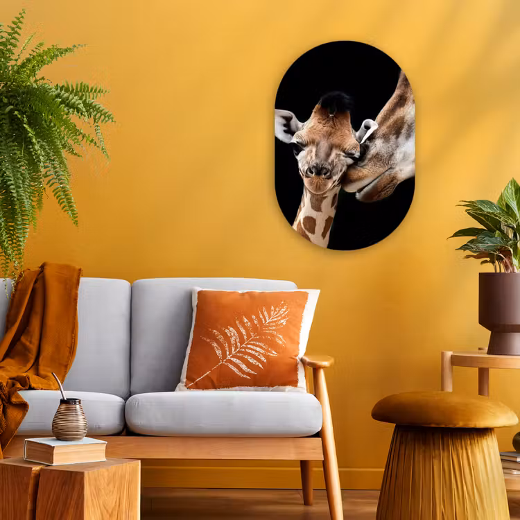 Giraffe - Dieren - Zwart - Portret - Dieren Wandcirkel Ovaal Forex klein -sfeer4
