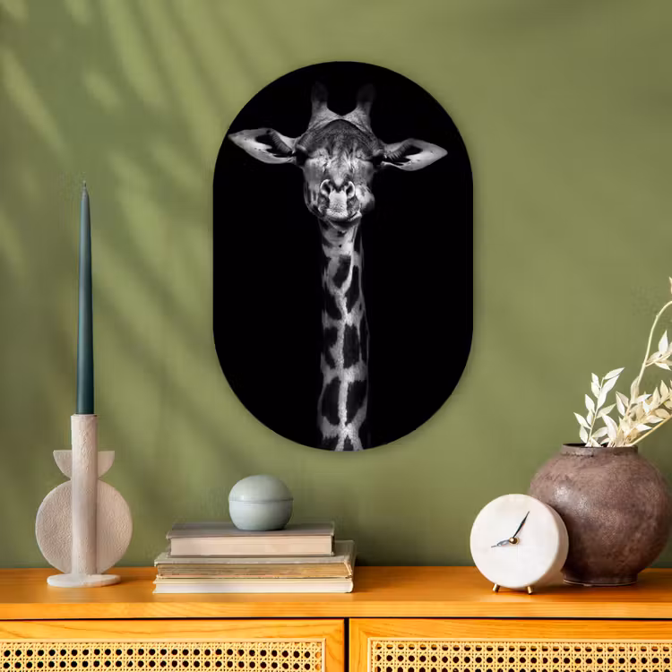 Giraffe - Portret - Dieren - Zwart - Wit Wandcirkel Ovaal Forex klein -sfeer2