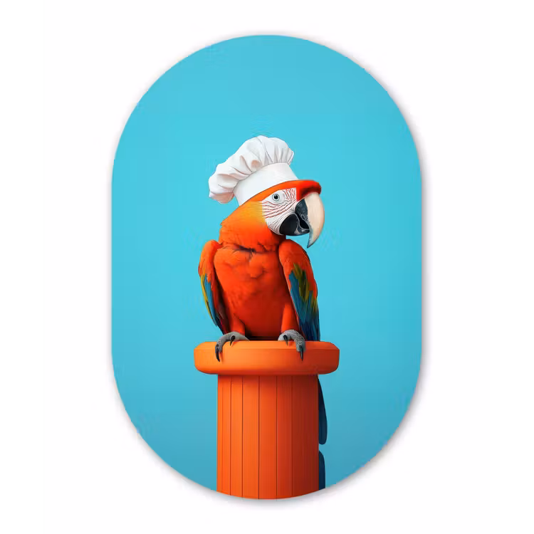 Ara - Koksmuts - Sokkel - Grappig Wandcirkel Ovaal Glas middel -3d