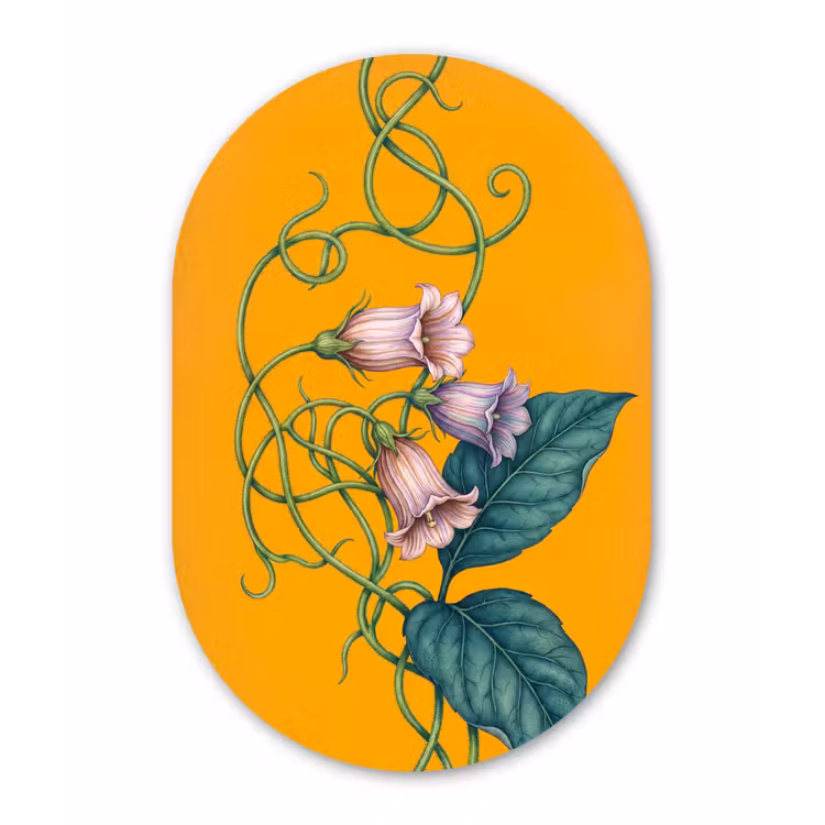 Muurovaal glas - Bloemen - Botanisch - Geel - Bloemen - Botanisch - Geel Wandcirkel Ovaal Glas middel