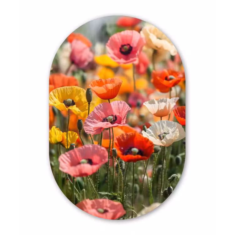 Bloemenveld - Klaprozen - Kleurrijk Wandcirkel Ovaal Glas middel -3d
