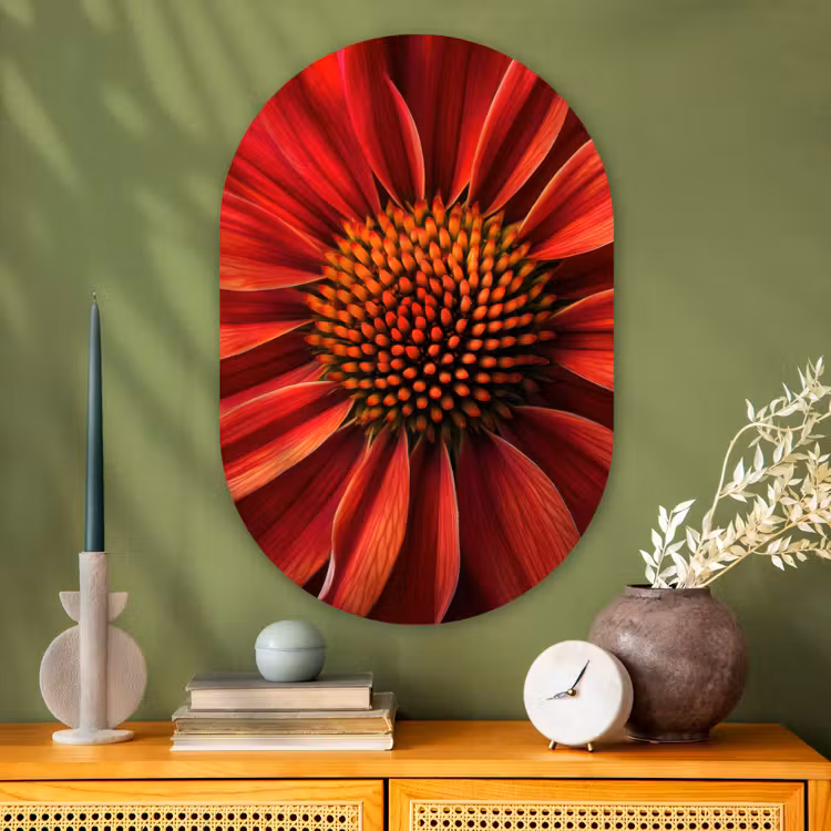 Close up - Bloem- Rood Wandcirkel Ovaal Glas middel -sfeer2