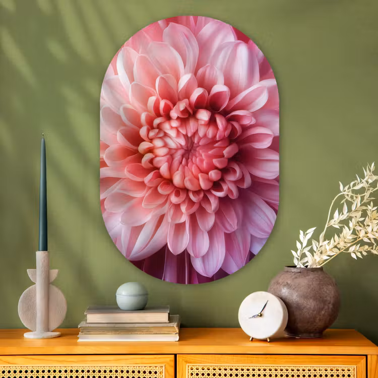 Dahlia - Bloem - Close up - Roze Wandcirkel Ovaal Glas middel -sfeer2