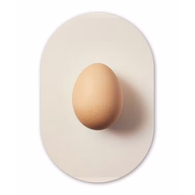 Ei - Beige - Ovaal - Egaal Wandcirkel Ovaal Glas middel -3d