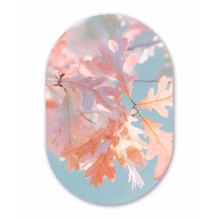Eikenbladeren - Takken - Roze Wandcirkel Ovaal Glas middel -3d