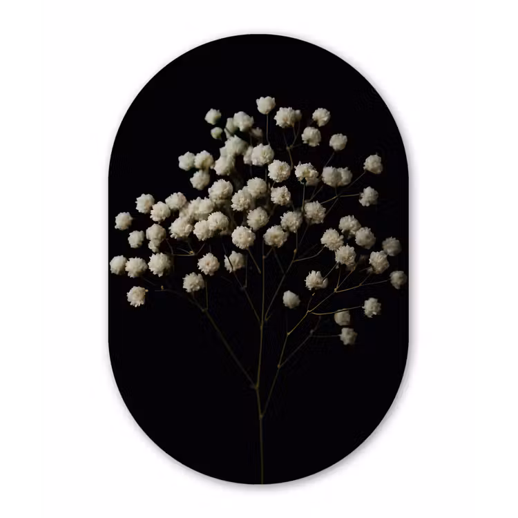 Gipskruid - Bloemetjes - Wit - Minimalistisch Wandcirkel Ovaal Glas middel -3d