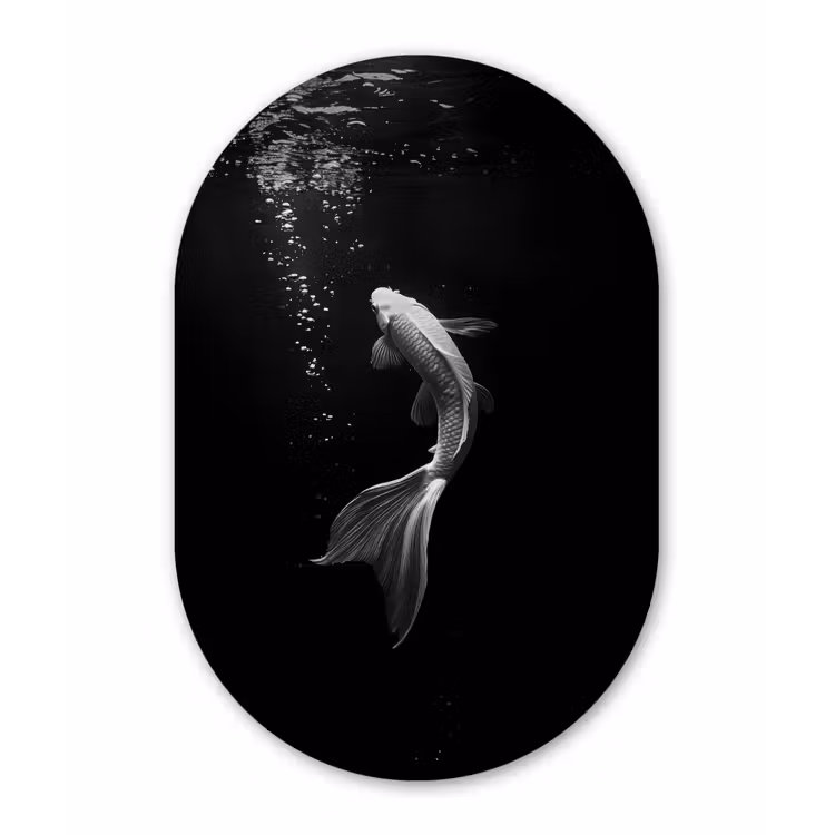 Koi - Vis - Wit - Zwart Wandcirkel Ovaal Glas middel -3d