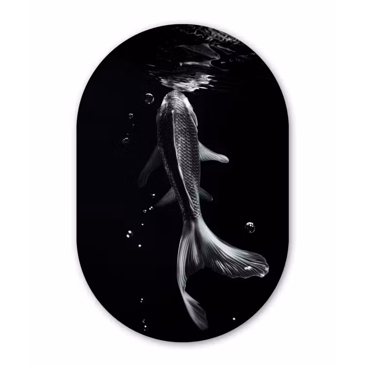 Koi - Vissen - Water - Zwart Wandcirkel Ovaal Glas middel -3d