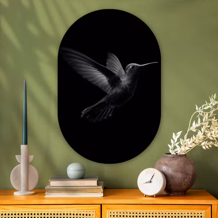 Kolibrie - Zwart - Dieren Wandcirkel Ovaal Glas middel -sfeer2