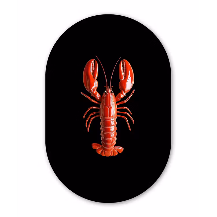 Kreeft - Glossier Rood - Zwart Wandcirkel Ovaal Glas middel -3d