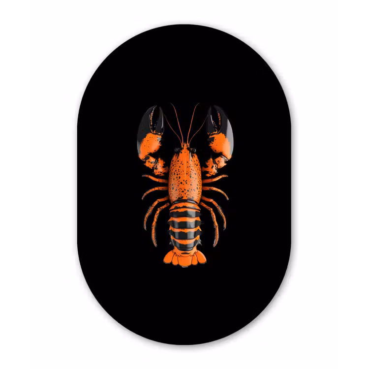 Kreeft - Oranje - Zwart - Modern Wandcirkel Ovaal Glas middel -3d