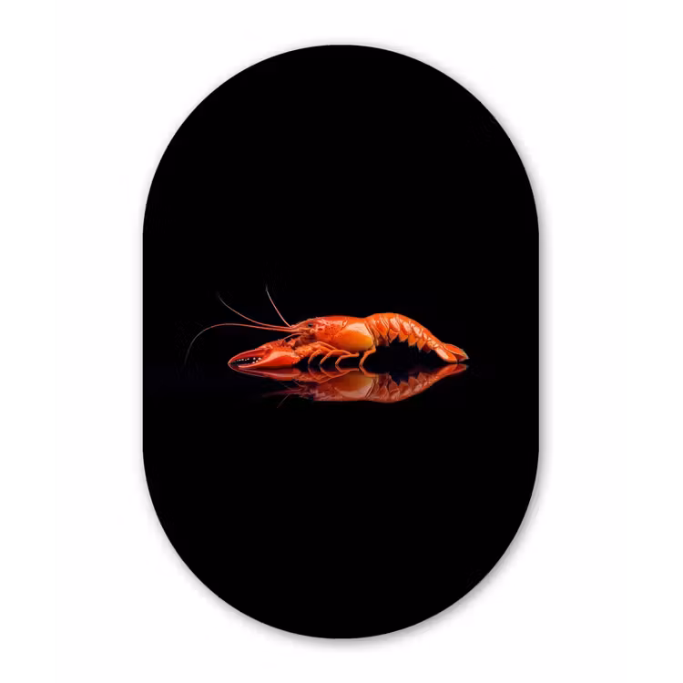 Kreeft - Oranje - Zwart - Opvallend Wandcirkel Ovaal Glas middel -3d