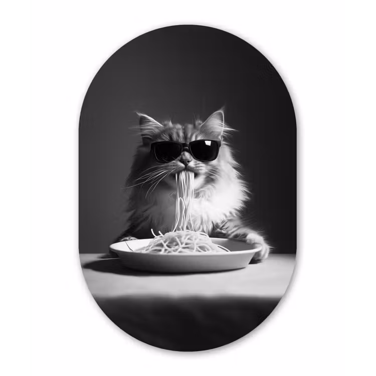 Langharige kat - Zonnebril - Spaghetti - Humor - Zwart - wit Wandcirkel Ovaal Glas middel -3d