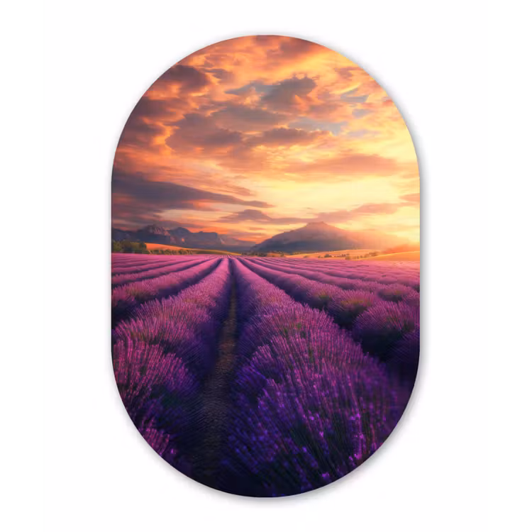 Lavendelveld - Zonsondergang - Paars Wandcirkel Ovaal Glas middel -3d