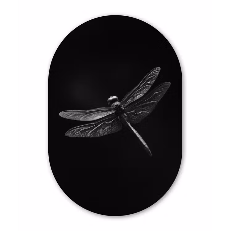 Libelle - Dieren - Zwart - Insect Wandcirkel Ovaal Glas middel -3d
