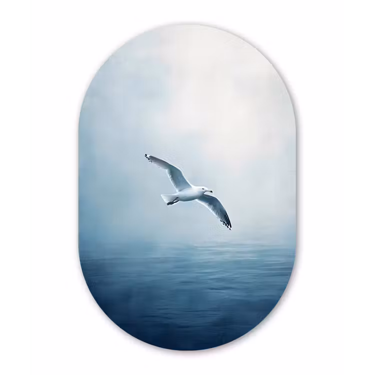 Meeuw - Wit - Zee - Mistig Wandcirkel Ovaal Glas middel -3d