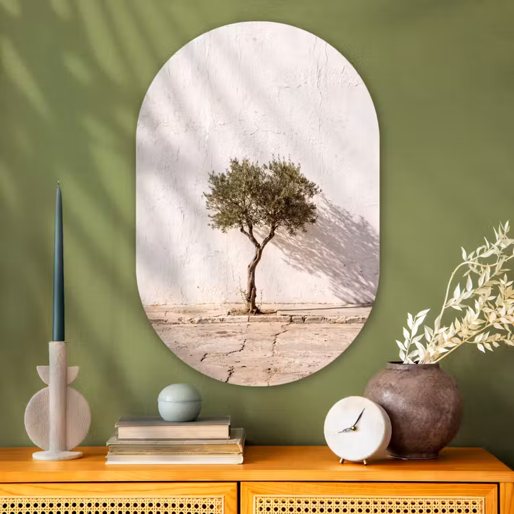 Muurovaal glas - Olijfboom - muur - wit - Olijfboom - muur - wit Wandcirkel Ovaal Glas middel
