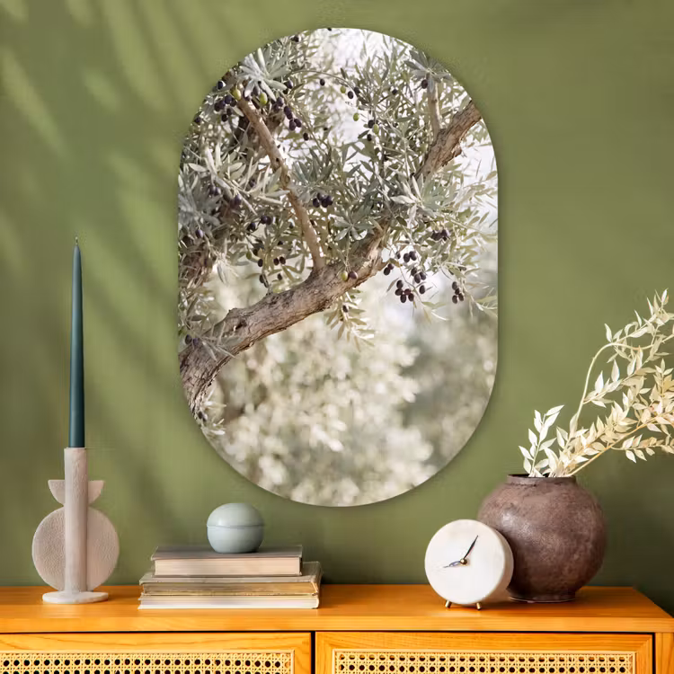 Muurovaal glas - Olijfboom - tak - groen - Olijfboom - tak - groen Wandcirkel Ovaal Glas middel