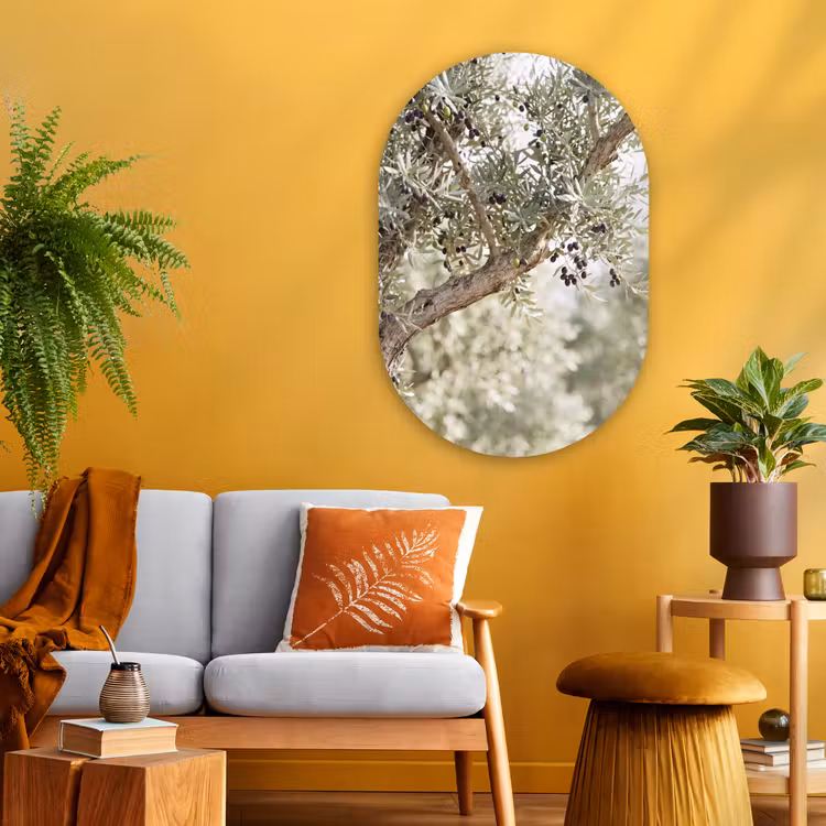 Muurovaal glas - Olijfboom - tak - groen - Olijfboom - tak - groen Wandcirkel Ovaal Glas middel