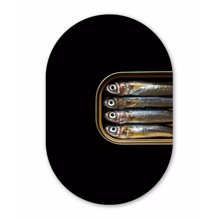 Sardines - Blik - Zwart - Vissen Wandcirkel Ovaal Glas middel -3d