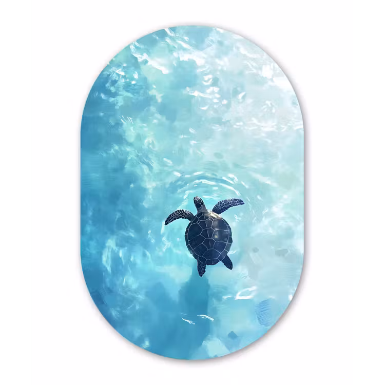 Schildpad - Zee - Blauw - Schittering Wandcirkel Ovaal Glas middel -3d