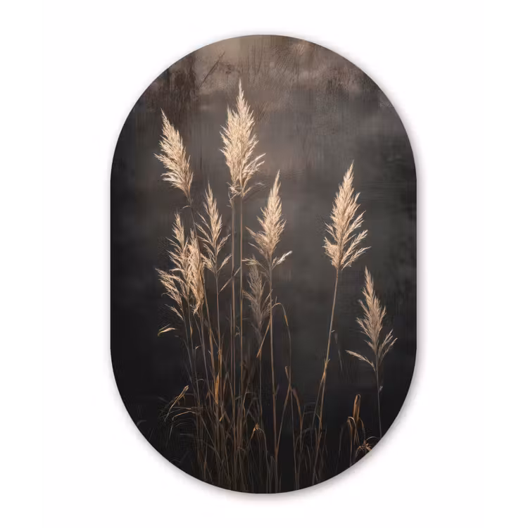 Siergras - Pluimen - Verlichting - Zwart Wandcirkel Ovaal Glas middel -3d