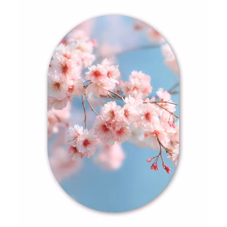 Takken - Bloesems - Roze Wandcirkel Ovaal Glas middel -3d