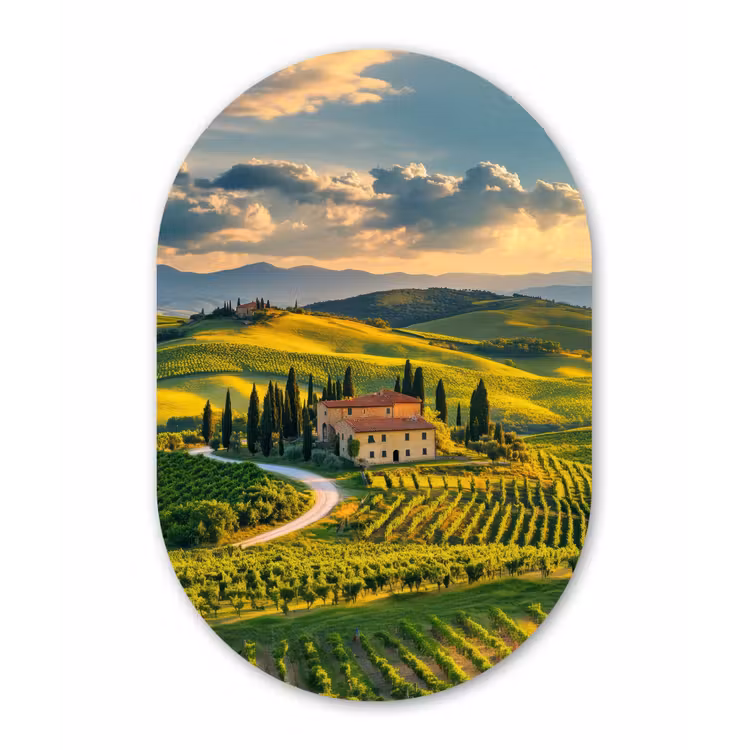 Toscane - Landschap - Wijngaarden Wandcirkel Ovaal Glas middel -3d